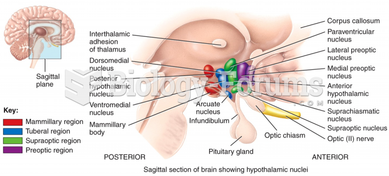 Sagittal section of brain showing hypothalamic nuclei