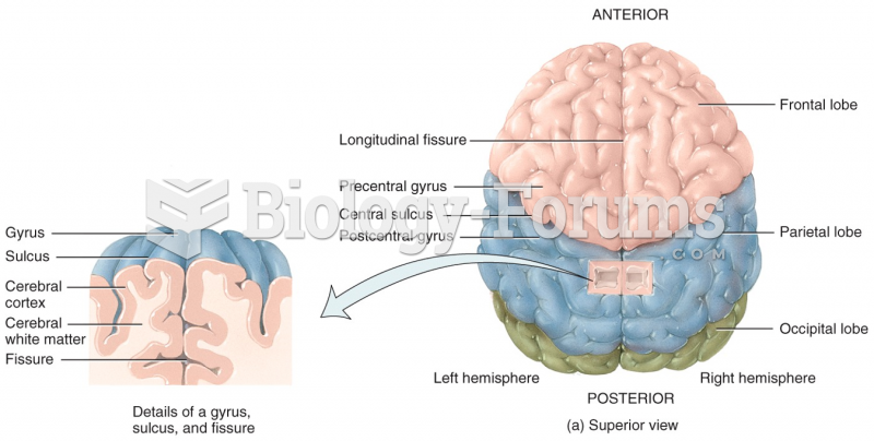 Details of a gyrus, sulcus, and fissure