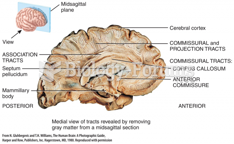 Medial view of tracts revealed by removing gray matter from a midsagittal section