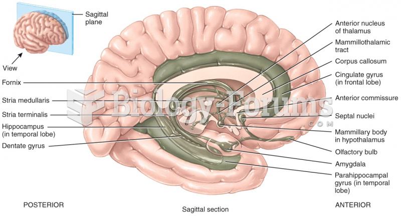 Sagittal section of brain