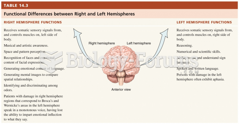 Functional Differences between Right and Left Hemispheres