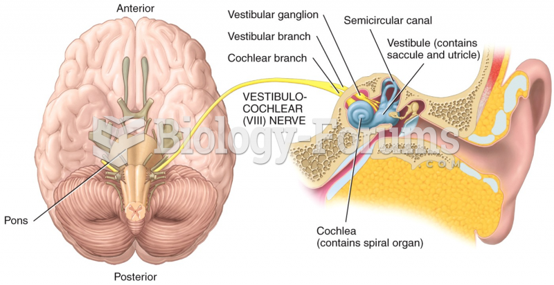 Vestibulocochlear, VIII