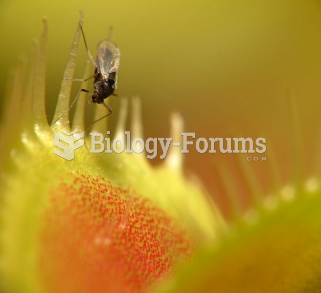 A fly on a Venus Flytrap plant
