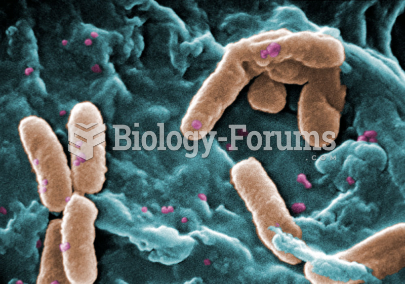 Pseudomonas aeruginosa bacteria showing rod and spore (SEM)