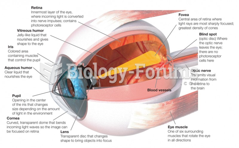 Major Structures of the Eye