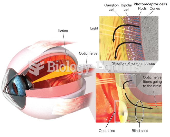 The Structures of the Retina