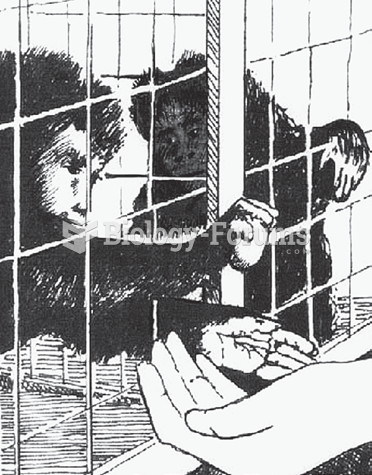 Monkey Experiment: Sense of Fairness