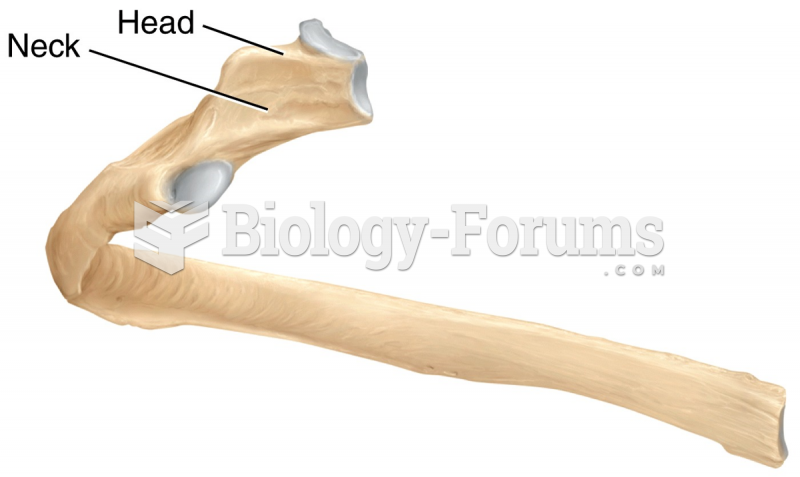 Bone Surface Markings: Head