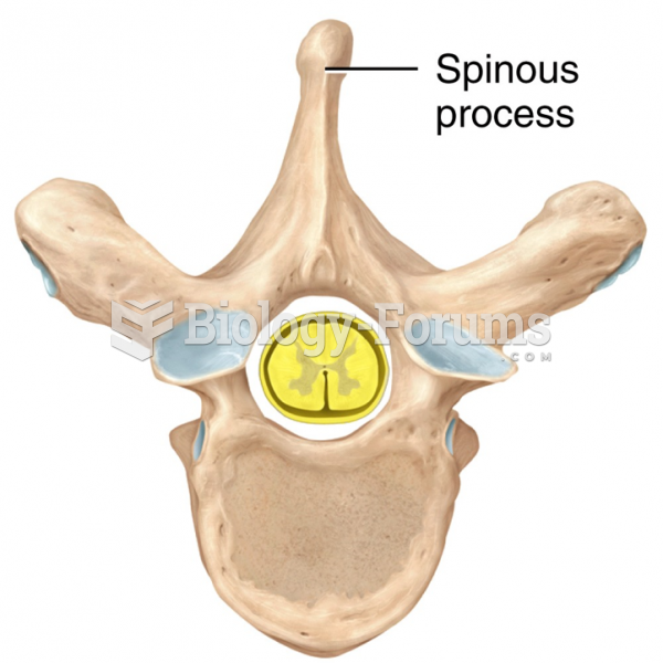 Spinous process