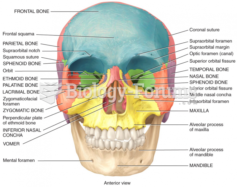 Skull Anterior View