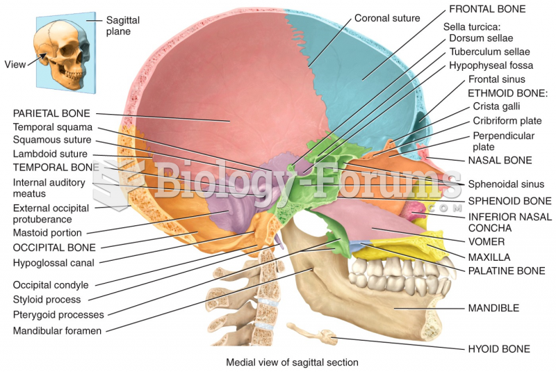 Medial view of sagittal section
