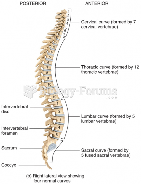 Right lateral view showing low normal curves of the vertebral column