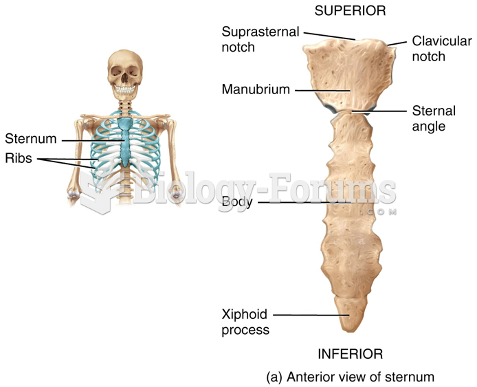 Anterior view of sternum
