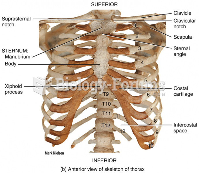 Anterior Now of skeleton of thorax