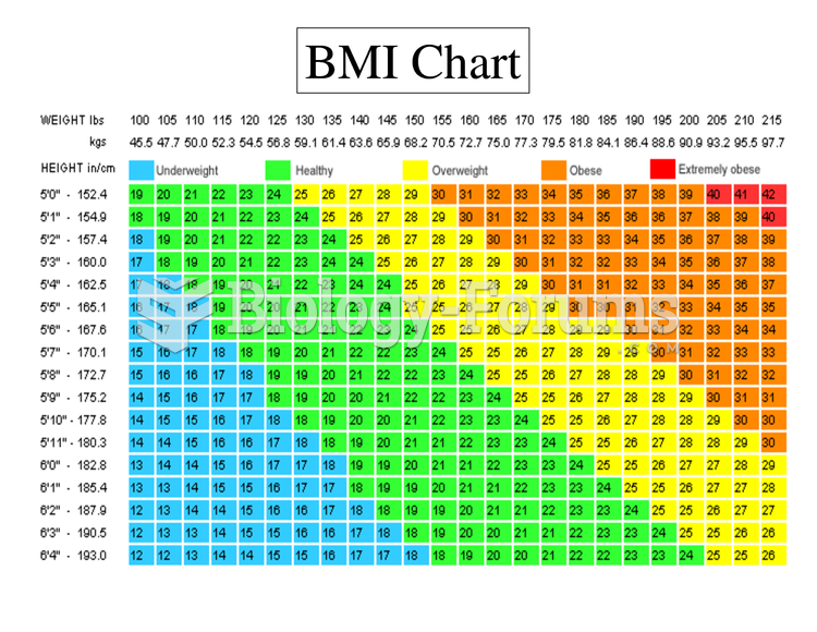 BMI Chart Weight Chart