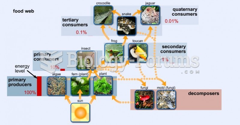 Energy pyramid