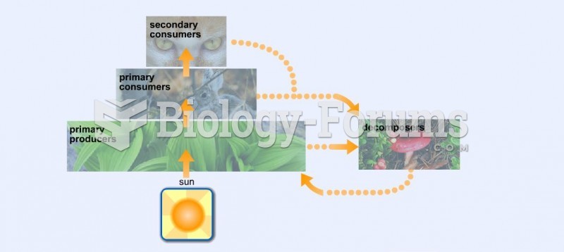 Basic Chart of Food Chain