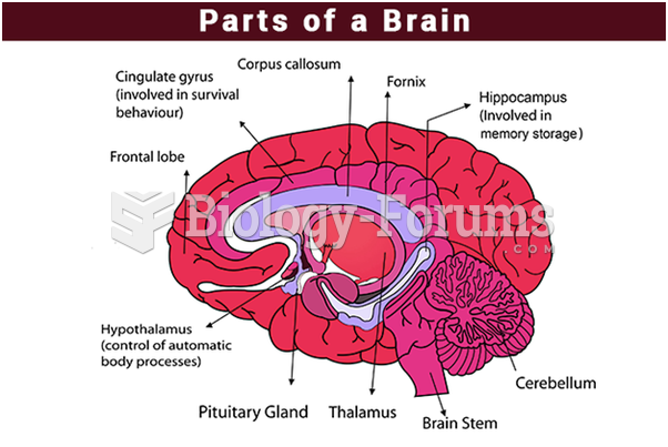 Parts of a Brain