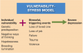 Vulnerability – Stress Model
