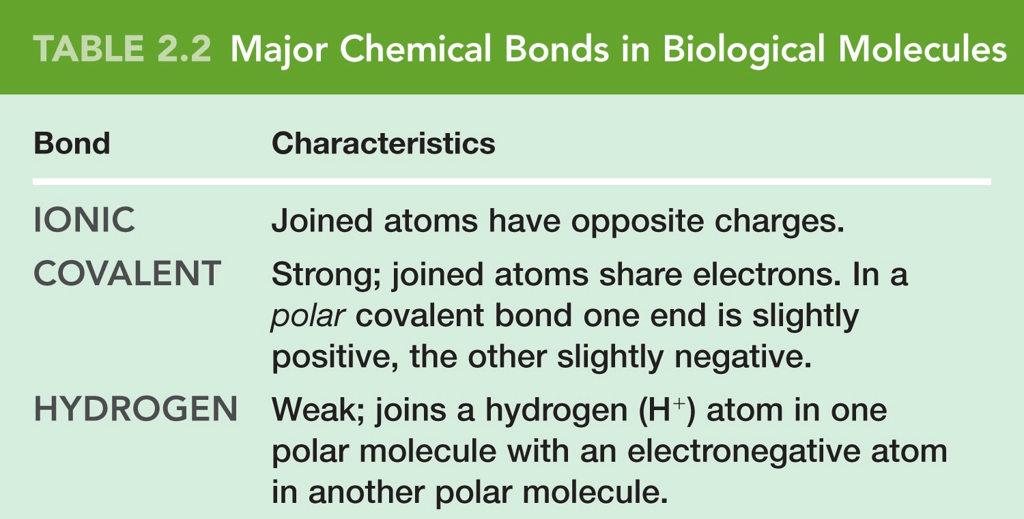 Important Bonds in Biological Molecules