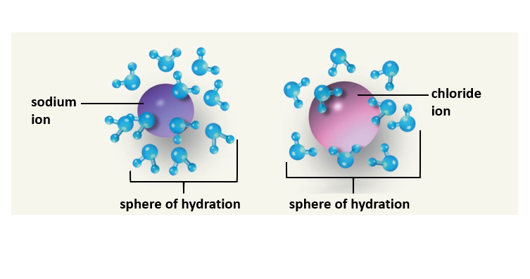 Water forms spheres of hydration