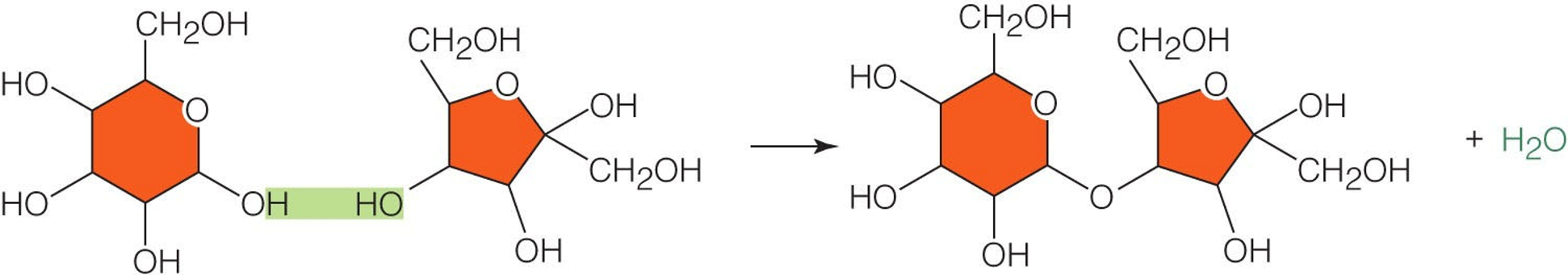 Oligosaccharides