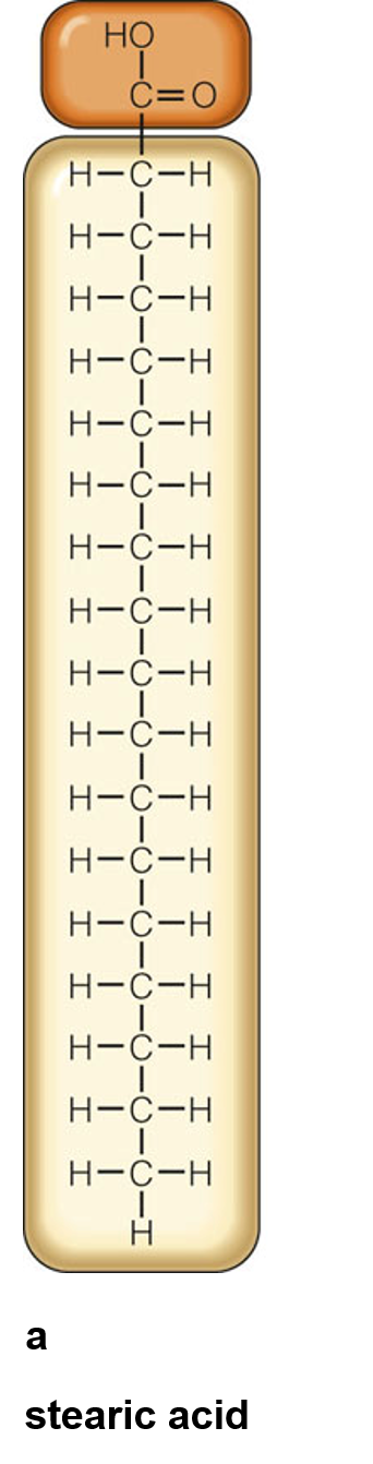 Stearic acid