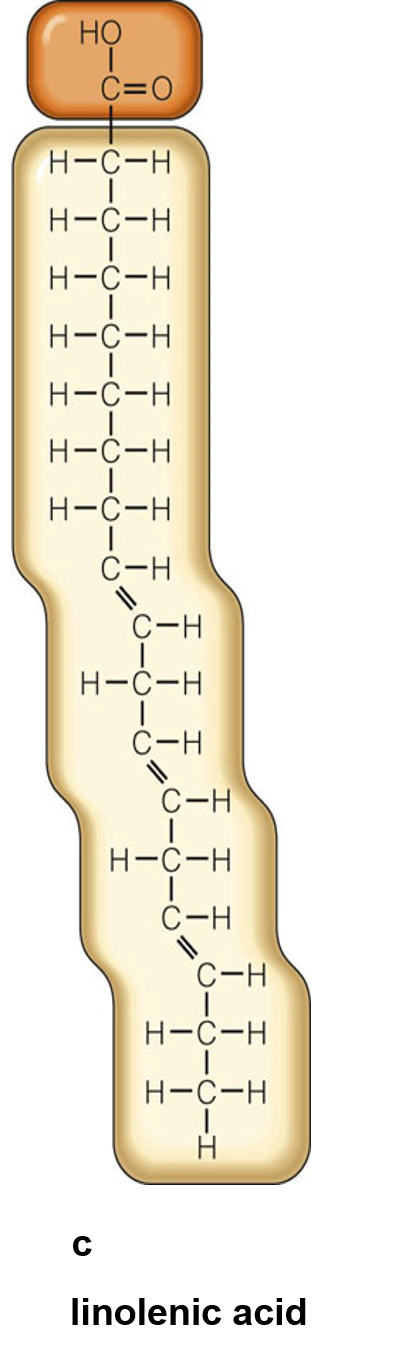 Linolenic acid