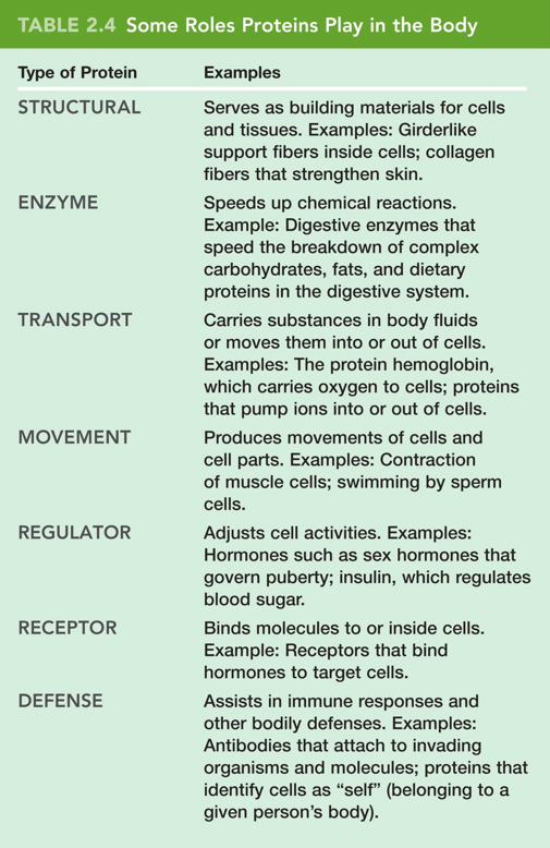 Biological Molecules