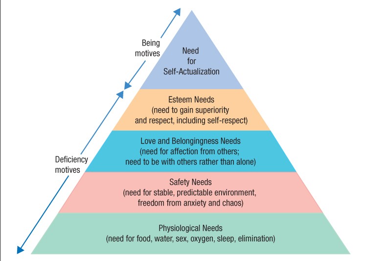 In Maslow's view, needs operate from the bottom up in this needs hierarchy