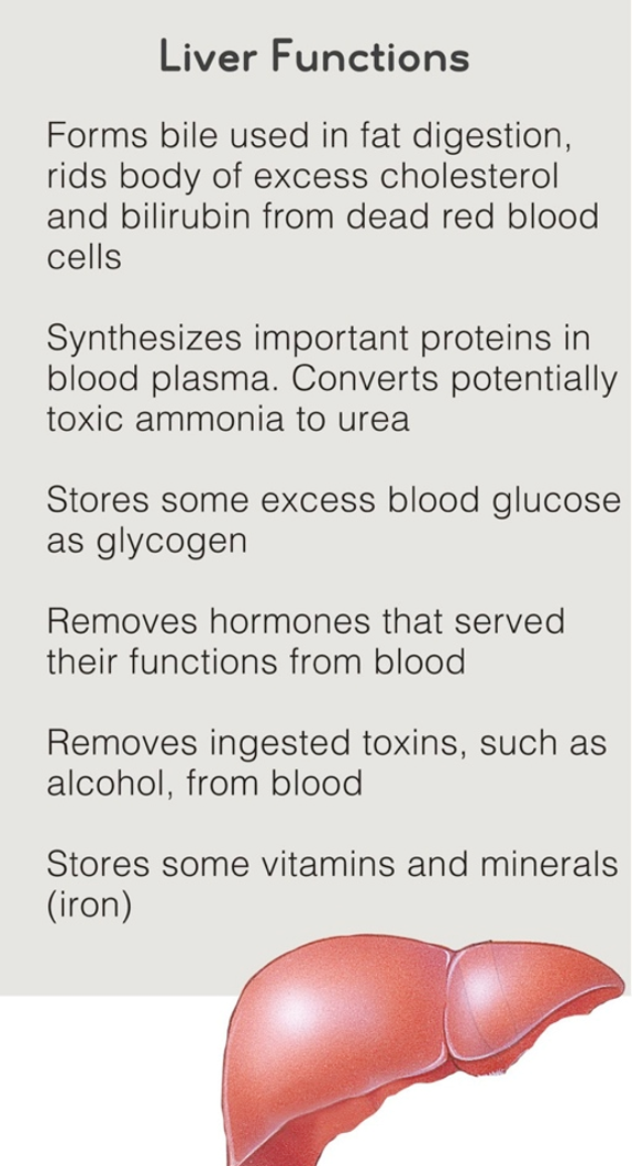 Liver Functions