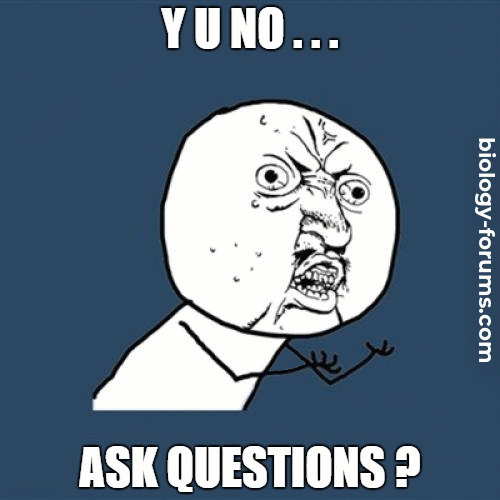 Y U NO ... Ask a Question? (Animated)