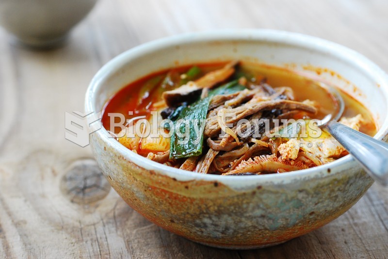 Hot soup (guk) Yukgaejang