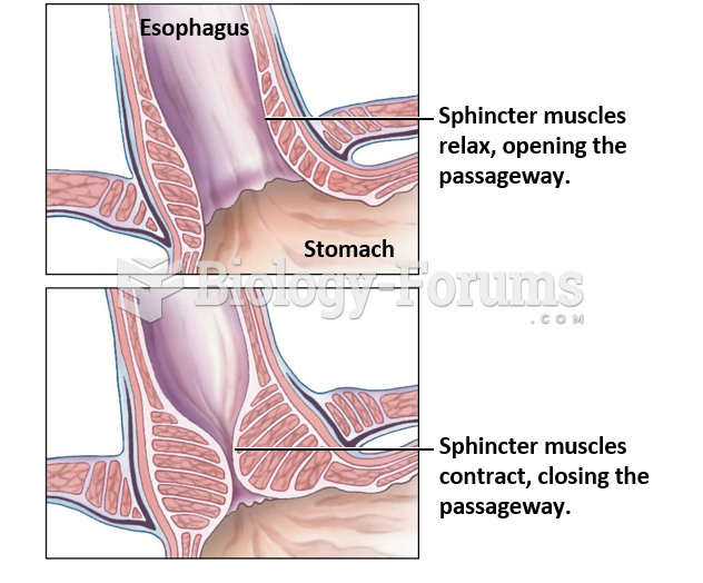 Overview of the Digestive System