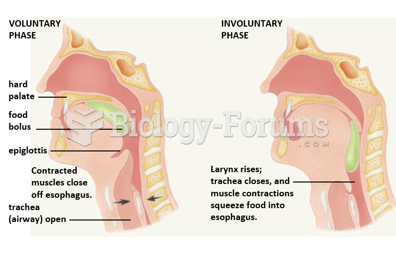 Chewing & Swallowing: Food Processing Begins