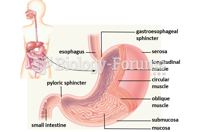 Stomach functions