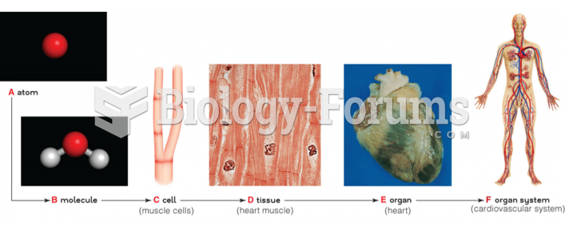 An overview of the levels of organization in nature