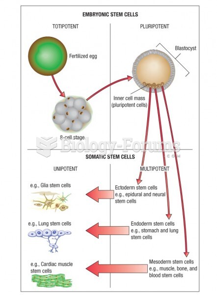 Totipotent stem cells