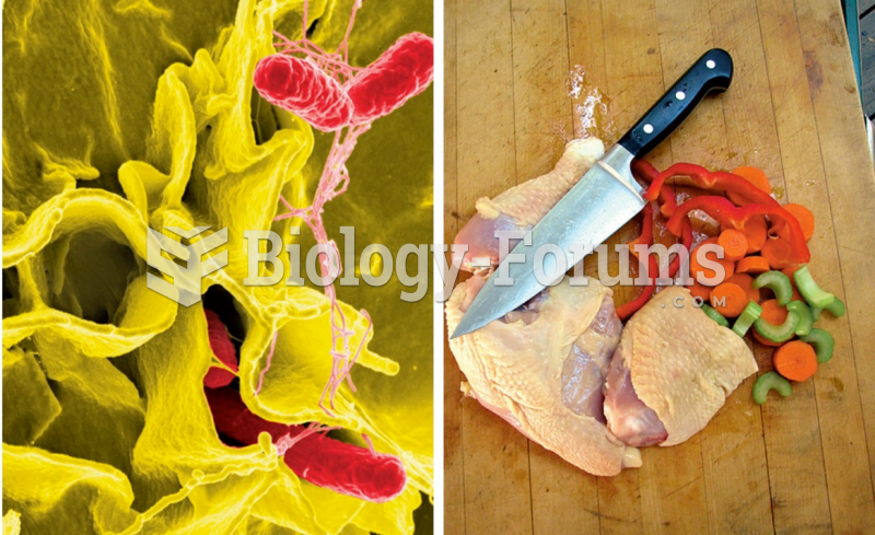 Food poisoning: Salmonella