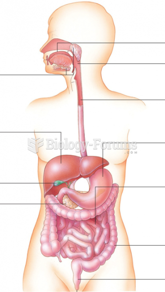 Anatomy of Digestive System