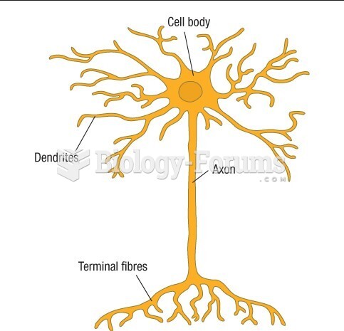 The structure of a single developed neuron