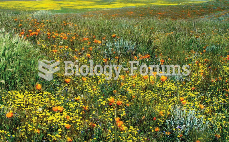 Antelope Valley poppy