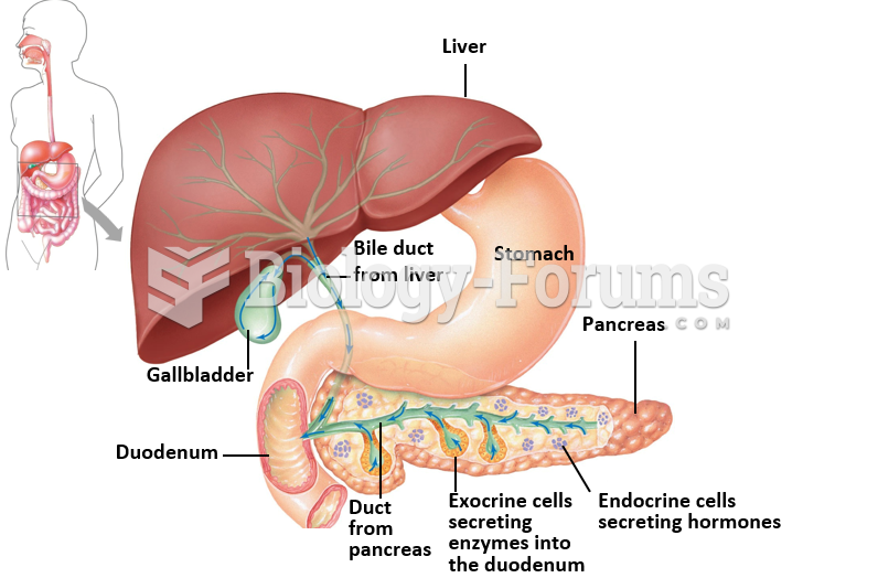 Accessory Organs: The Pancreas, Gallbladder, & Liver