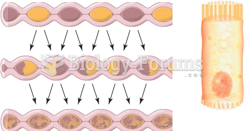 Brush border cell