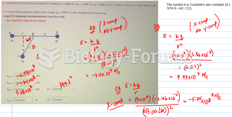 . Calculate the net electric field at point B