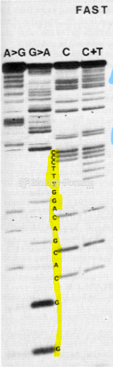 Need help interpreting the autoradiograph of a sequencing gel