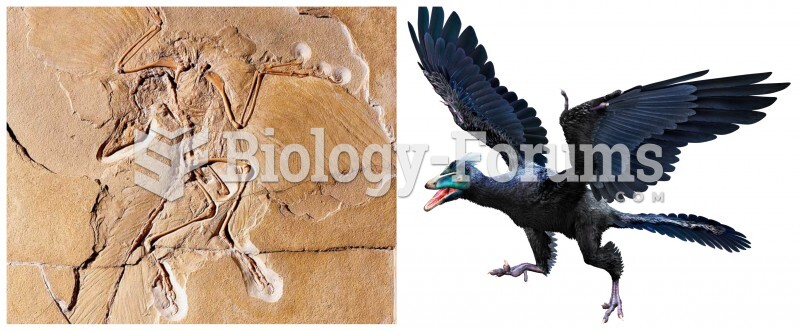 Did birds evolve from dinosaurs?