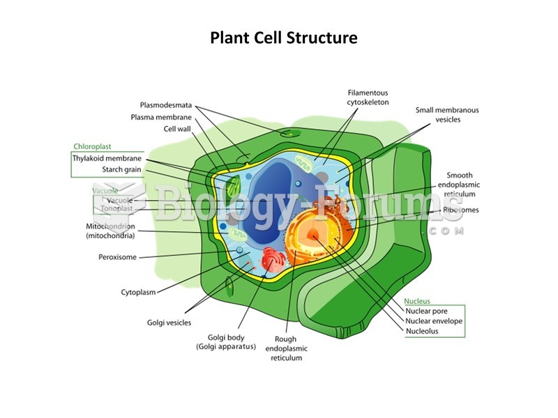 Plant cell structure