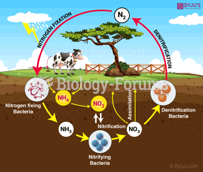 nitrogen cycle