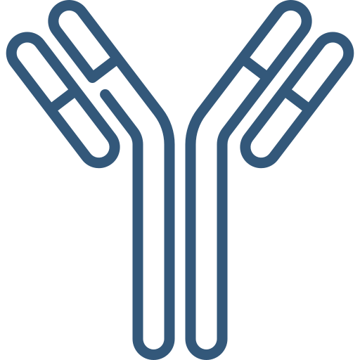 Immunology Vector Icon